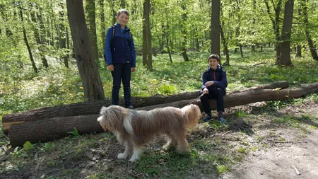 Erholung im Wald