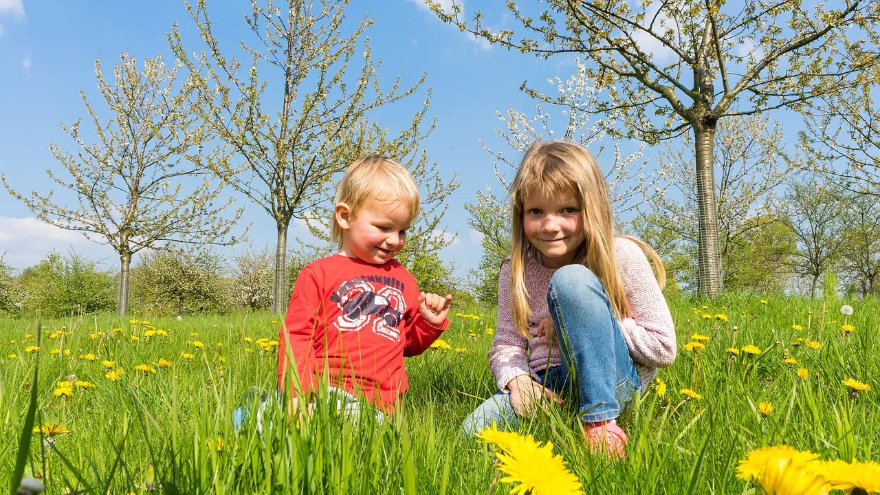 Frühlingswiese